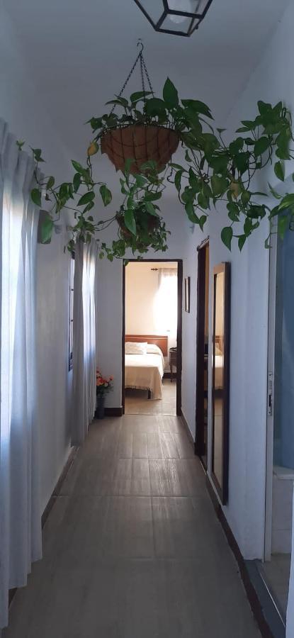 Vivienda Vacacional 사비노사 외부 사진